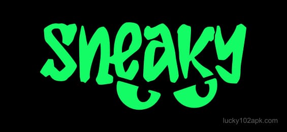 PayPal Official Partner